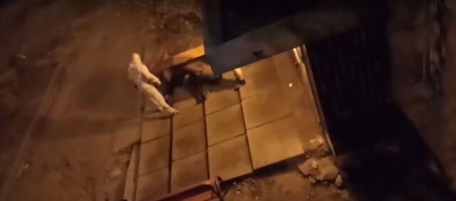 Офицера НГУ, который в Ирпене стрелял в бездомного, признали невиновным