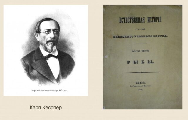 История реки Ирпень